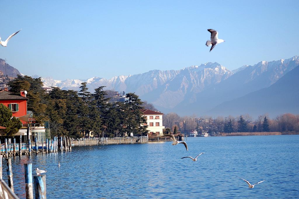 Appartamento Residenza Ca' laRipa Solto Collina Esterno foto